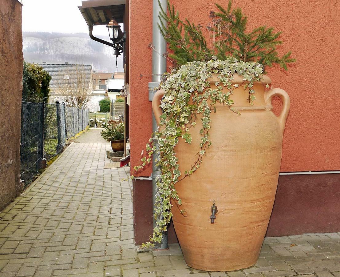 Ferienhaus Oliv Thale Ngoại thất bức ảnh